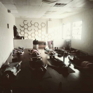 yogis